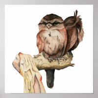 Owl vogelschildering Waterverf