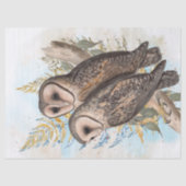 Owl Waterverf Art Tissuepapier (Voorkant)