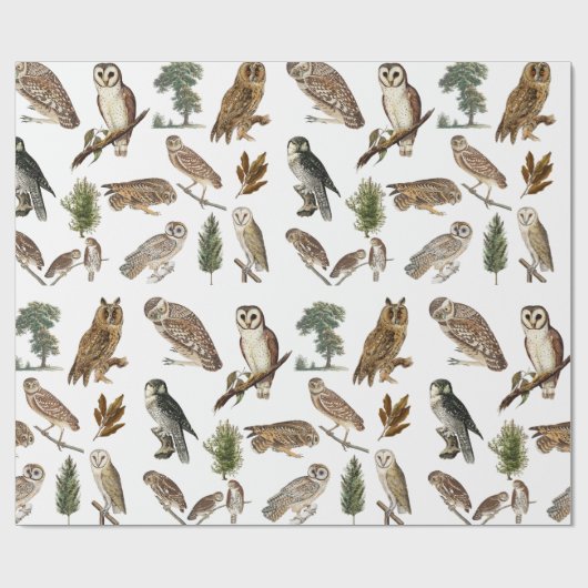 owl Waterverf Forest Pattern Cadeaupapier (Vlak)