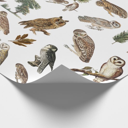 owl Waterverf Forest Pattern Cadeaupapier (Hoek)