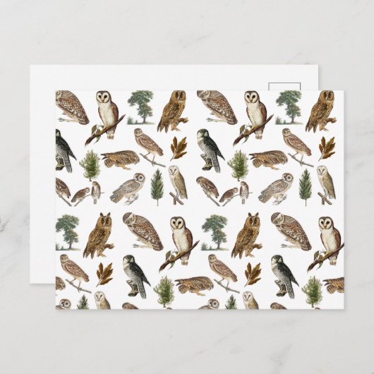  owl Waterverf Forest Pattern Feestdagenkaart (Voorkant / Achterkant)