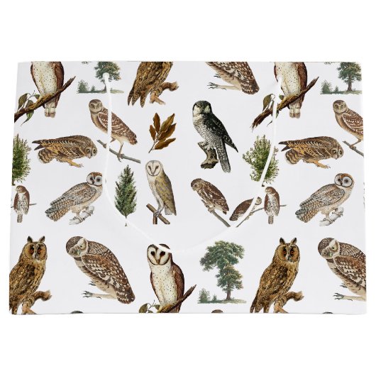  owl Waterverf Forest Pattern Groot Cadeauzakje (Voorkant)