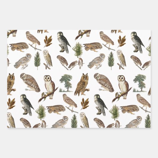 owl Waterverf Forest Pattern Inpakpapier Vel (Voorkant 3)
