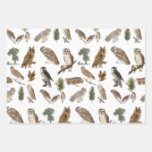 owl Waterverf Forest Pattern Inpakpapier Vel (Voorkant 2)