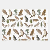 owl Waterverf Forest Pattern Inpakpapier Vel (Voorkant)