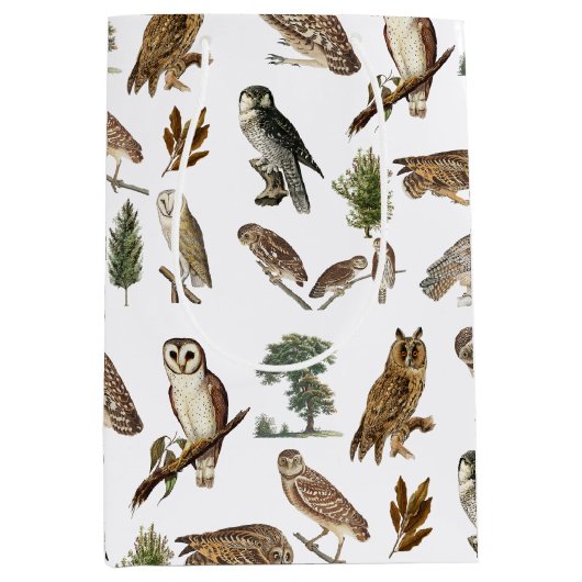owl Waterverf Forest Pattern Medium Cadeauzakje (Voorkant)