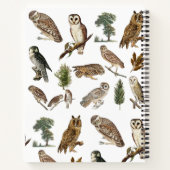  owl Waterverf Forest Pattern Monogram Notitieboek (Achterkant)