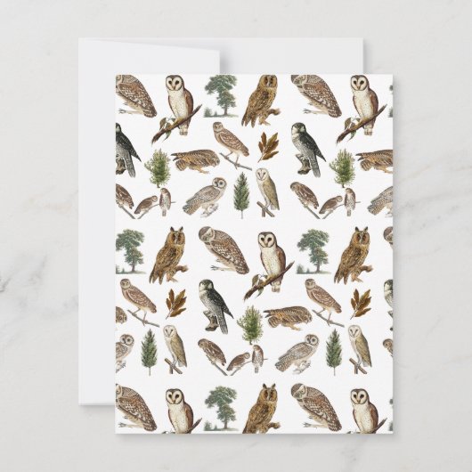  owl Waterverf Forest Pattern Notitiekaartje (Achterkant)