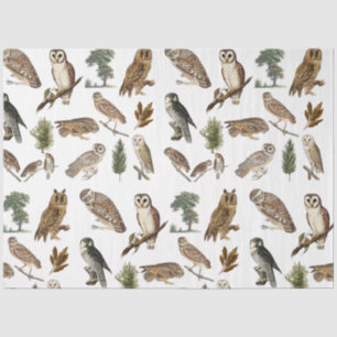 owl Waterverf Forest Pattern Tissuepapier