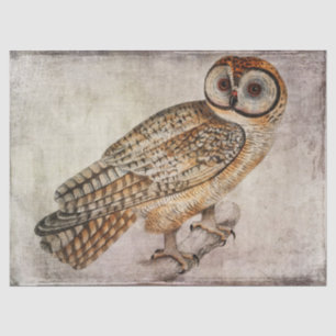 Owl weefsel- of lospaginapapier tissuepapier
