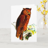 Owl Wenskaart Kaart (Gele Bloem)