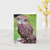 Owl Wenskaart Kaart (Gele Bloem)
