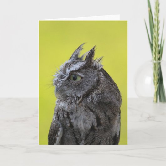 Owl Wenskaart Kaart (Voorkant)