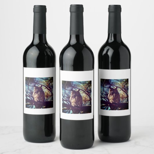 Owl Wine Label Wijn Etiket (Flessen)