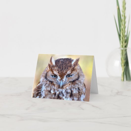 Owl wise Eyes Wenskaart Kaart (Voorkant)