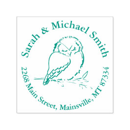 Owl Woodland Animal Baby shower Zelfinktende Stempel