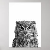 Owl Woodland Modern Portret zwart wit Poster (Voorkant)