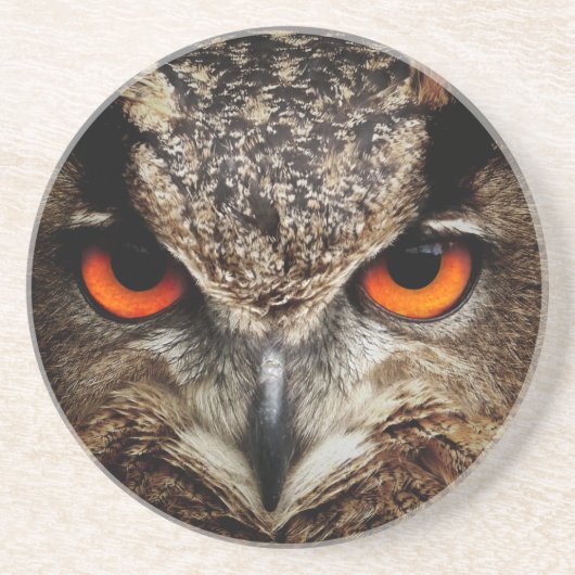 Owl Zandsteen Onderzetter (Voorkant)
