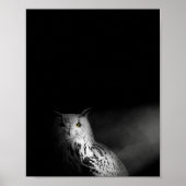 Owl, zwart-wit, foto poster (Voorkant)