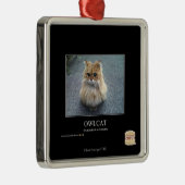 Owlcat Metalen Ornament (Rechts)