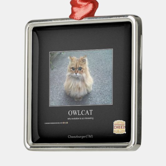 Owlcat Metalen Ornament (Links)