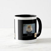 Owlcat Mok (Voorkant rechts)