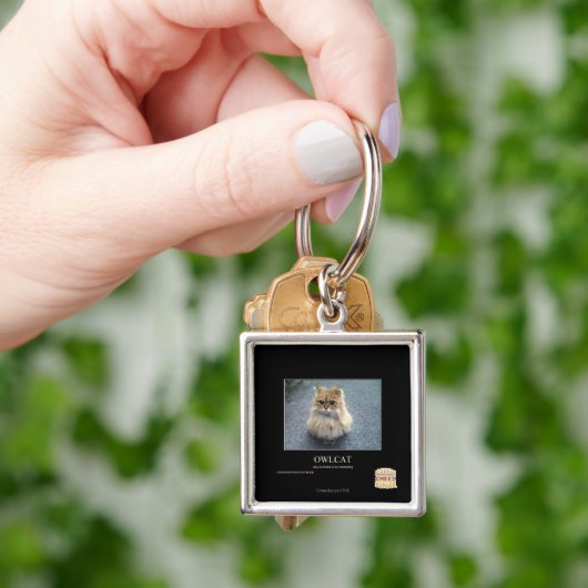 Owlcat Sleutelhanger (Hand)