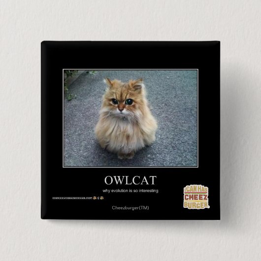 Owlcat Vierkante Button 5,1 Cm (Voorkant)