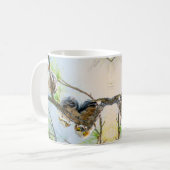 Owlets Baby Owls in Tree Wildlife Koffiemok (Voorkant links)