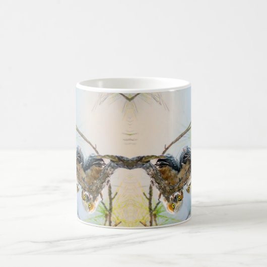 Owlets Baby Owls in Tree Wildlife Koffiemok (Center)