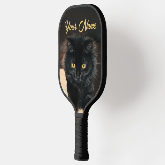 Owlette Pickleball Paddle (Links)
