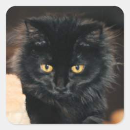 Owlette Vierkante Sticker