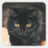 Owlette Vierkante Sticker (Voorkant)