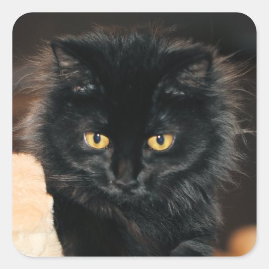 Owlette Vierkante Sticker (Voorkant)