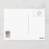 Owlie Briefkaart (Achterkant)