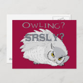 Owling serieus briefkaart (Voorkant / Achterkant)