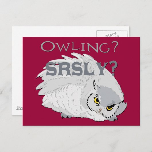 Owling serieus briefkaart (Voorkant / Achterkant)