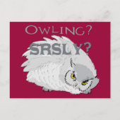 Owling serieus briefkaart (Voorkant)