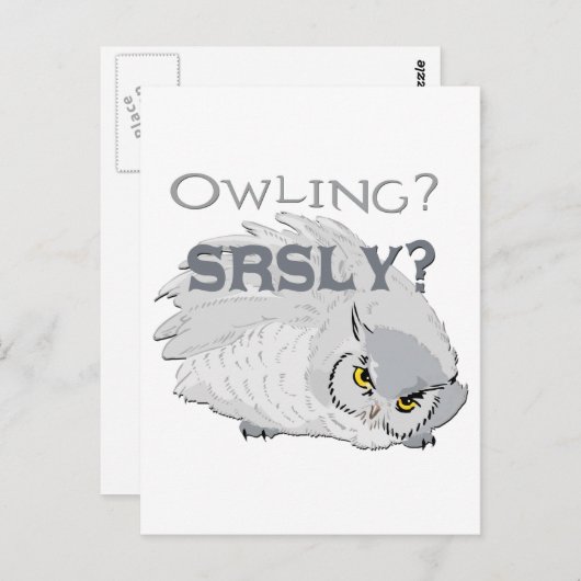 Owling serieus briefkaart (Voorkant / Achterkant)