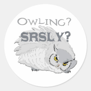 Owling serieus ronde sticker