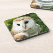 OWLS BIER ONDERZETTER (Linkerzijde)