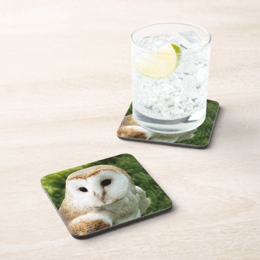 OWLS BIER ONDERZETTER (Rechterzijde)