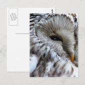 OWLS BRIEFKAART (Voorkant / Achterkant)