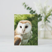 OWLS BRIEFKAART (Staand voorkant)