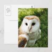 OWLS BRIEFKAART (Voorkant / Achterkant)