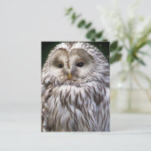 OWLS BRIEFKAART (Staand voorkant)