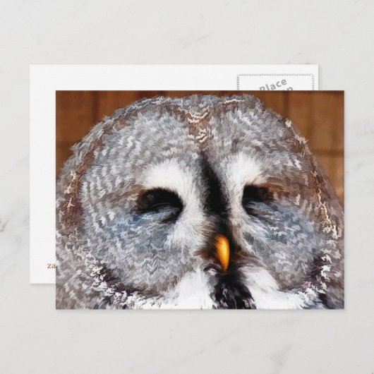 OWLS BRIEFKAART (Voorkant / Achterkant)