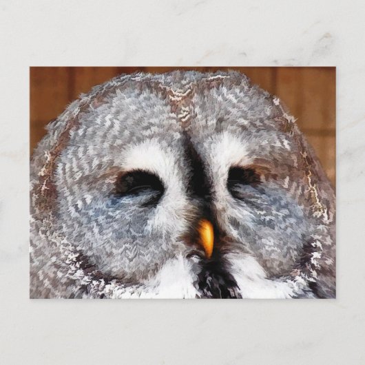 OWLS BRIEFKAART (Voorkant)