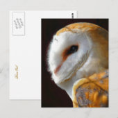 OWLS BRIEFKAART (Voorkant / Achterkant)