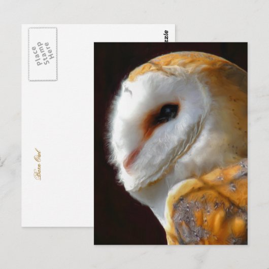 OWLS BRIEFKAART (Voorkant / Achterkant)